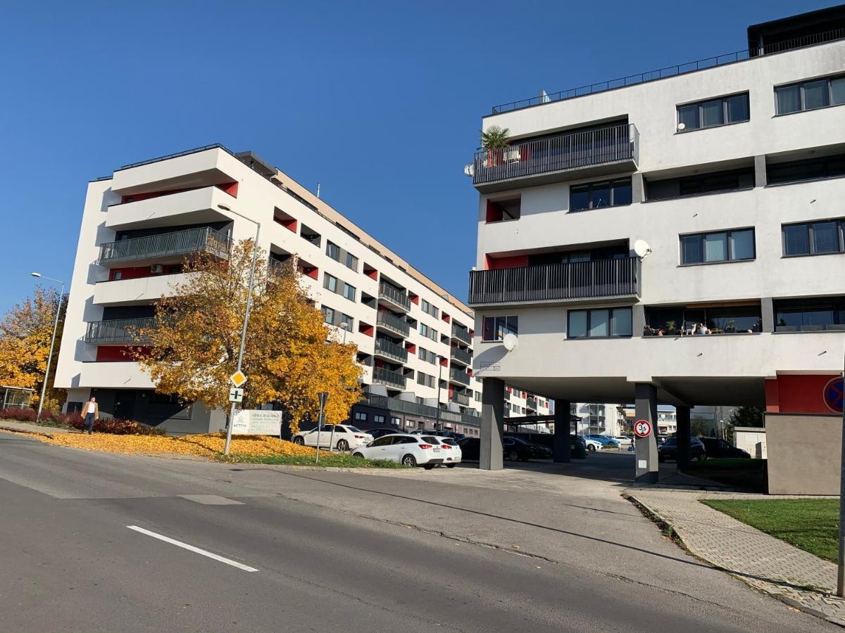 Bl - The Executive Suite, Boru - 24Hr Self Check-In, Free Private Parking, Balcony With Mountain View, 5 Minute Walk To City Center Banská Bystrica Eksteriør billede