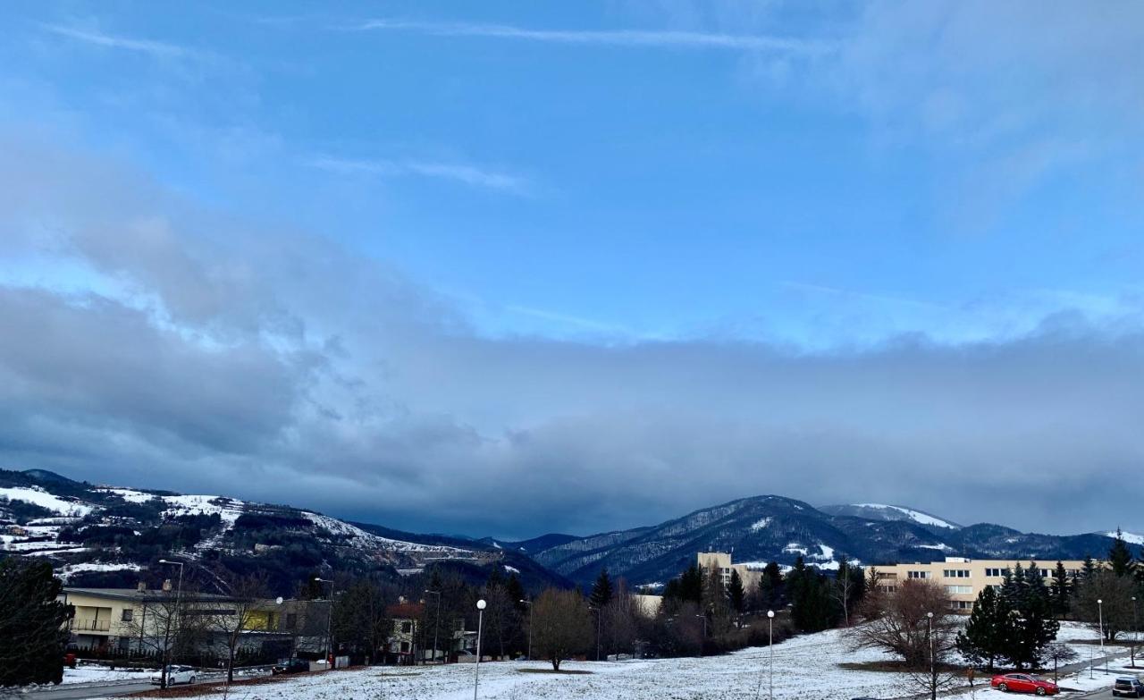 Bl - The Executive Suite, Boru - 24Hr Self Check-In, Free Private Parking, Balcony With Mountain View, 5 Minute Walk To City Center Banská Bystrica Eksteriør billede