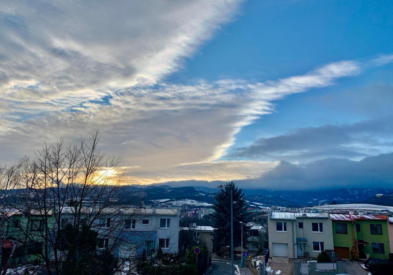 Bl - The Executive Suite, Boru - 24Hr Self Check-In, Free Private Parking, Balcony With Mountain View, 5 Minute Walk To City Center Banská Bystrica Eksteriør billede