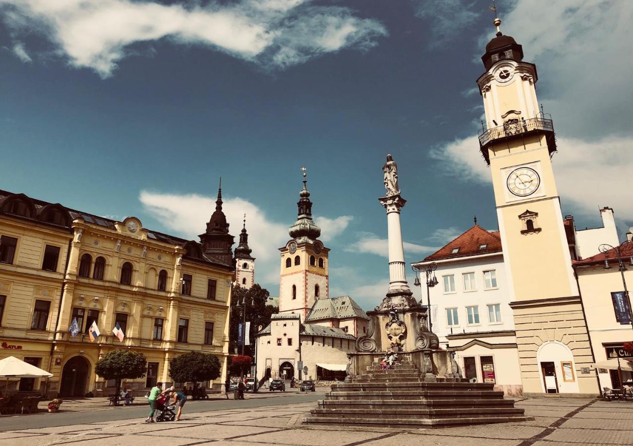 Bl - The Executive Suite, Boru - 24Hr Self Check-In, Free Private Parking, Balcony With Mountain View, 5 Minute Walk To City Center Banská Bystrica Eksteriør billede
