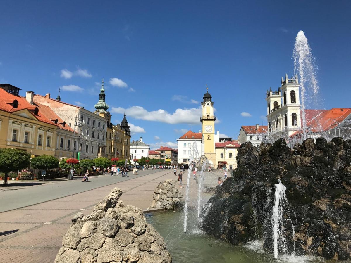 Bl - The Executive Suite, Boru - 24Hr Self Check-In, Free Private Parking, Balcony With Mountain View, 5 Minute Walk To City Center Banská Bystrica Eksteriør billede