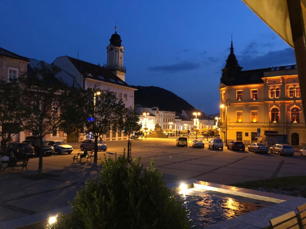 Bl - The Executive Suite, Boru - 24Hr Self Check-In, Free Private Parking, Balcony With Mountain View, 5 Minute Walk To City Center Banská Bystrica Eksteriør billede
